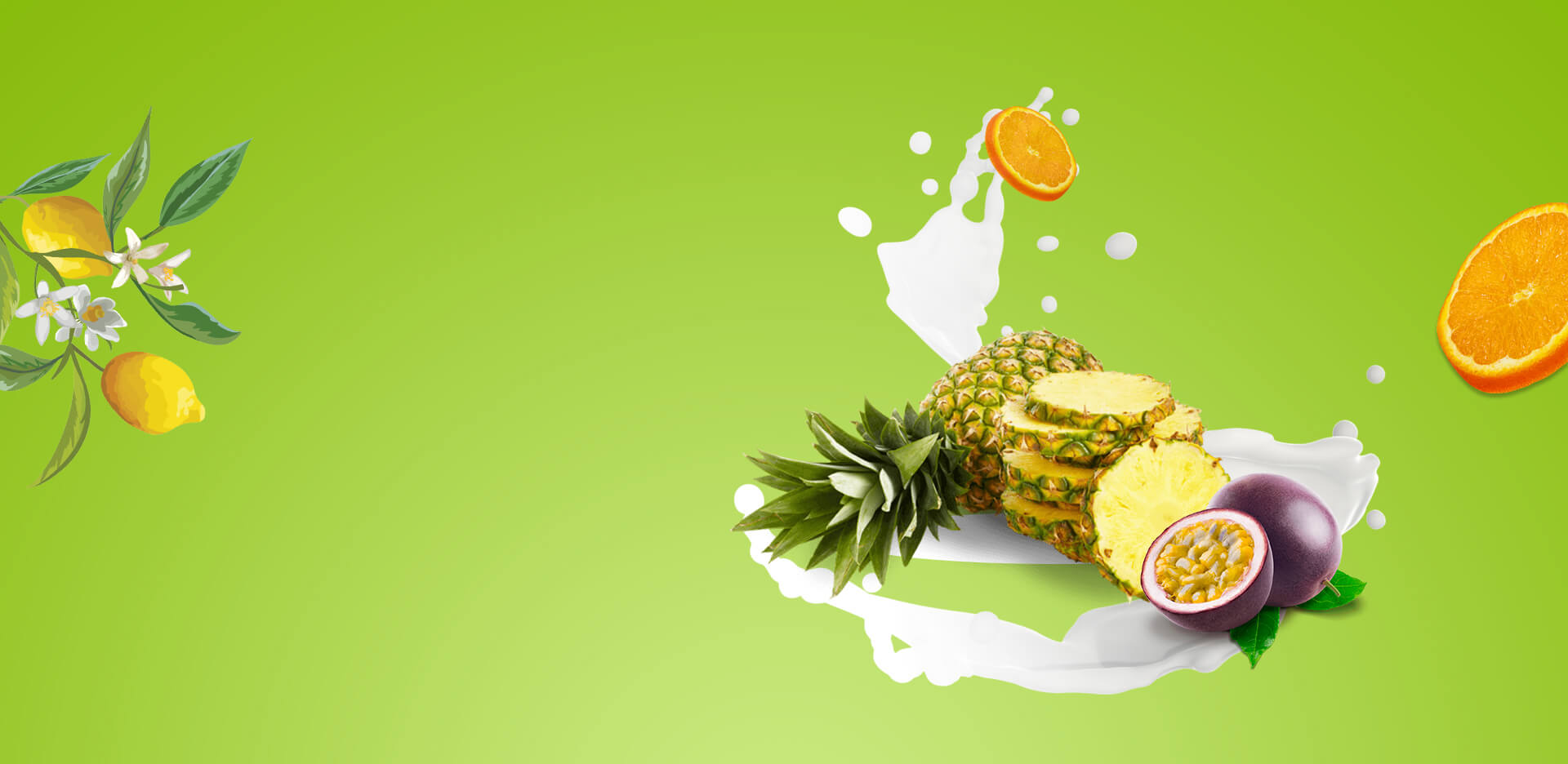 Kola - Organic & Food Shopify themes