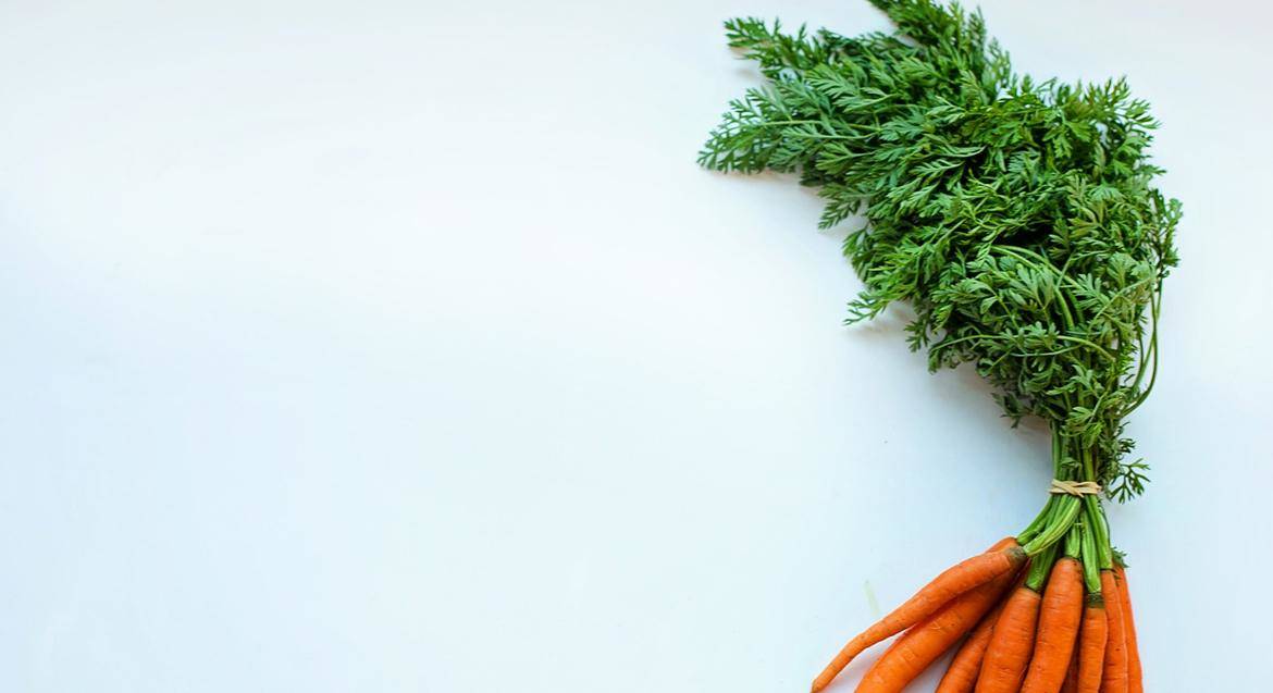 Kola - Organic & Food Shopify themes