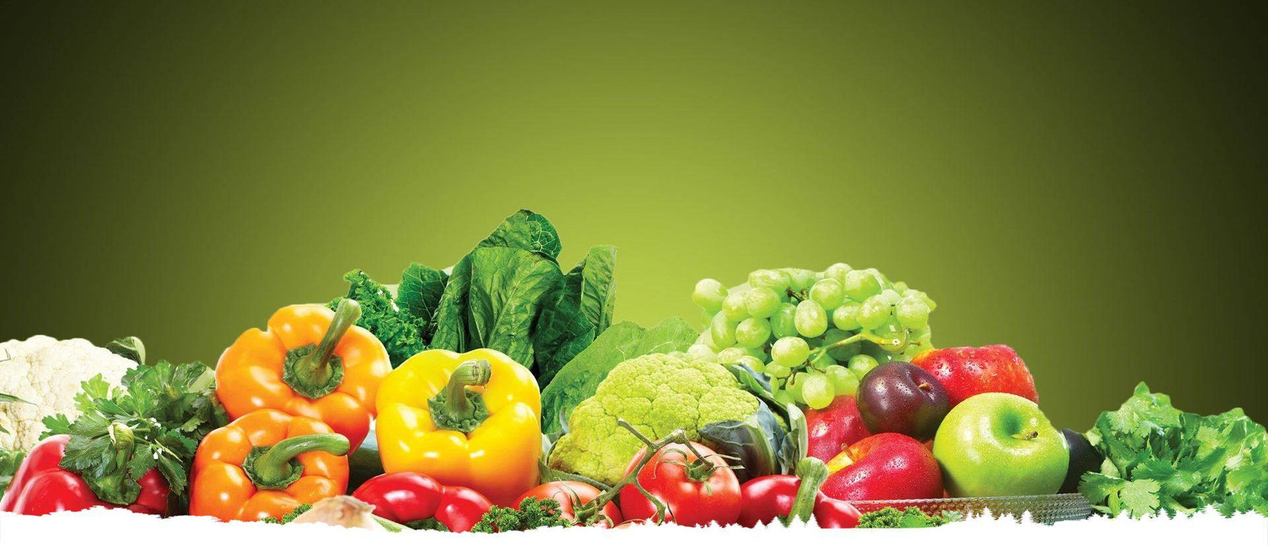 Kola - Organic & Food Shopify themes